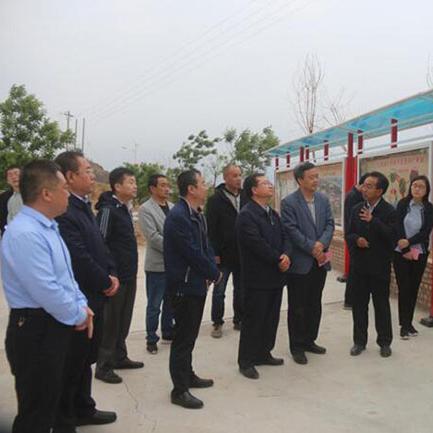 2025年最新鲜食枣品种深度解析