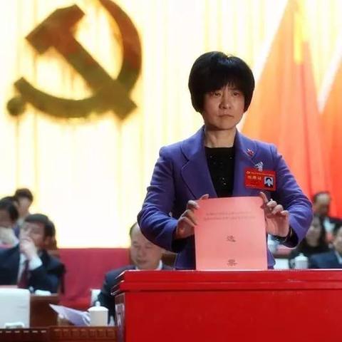 邢台市最新规划图深度解析,未来蓝图与数据揭秘