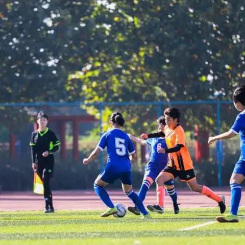 二战风云深度解析,战火重燃的新电影风云2025