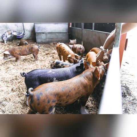 三五互联最新利好消息汇总