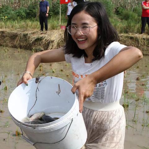 重庆江北五宝最新进展