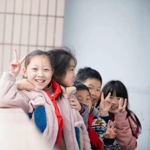 重庆江北五宝最新进展