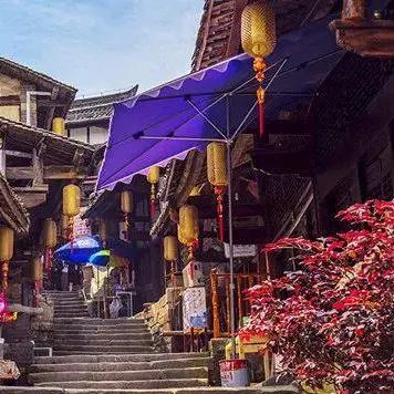 重庆江北五宝最新进展