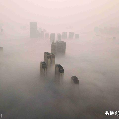 蚌五高速最新进展报告，最新动态解析