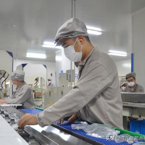 石家庄最新补证名单揭晓