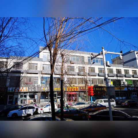 最新鸽子棚设计图，现代鸽子棚构建特色介绍