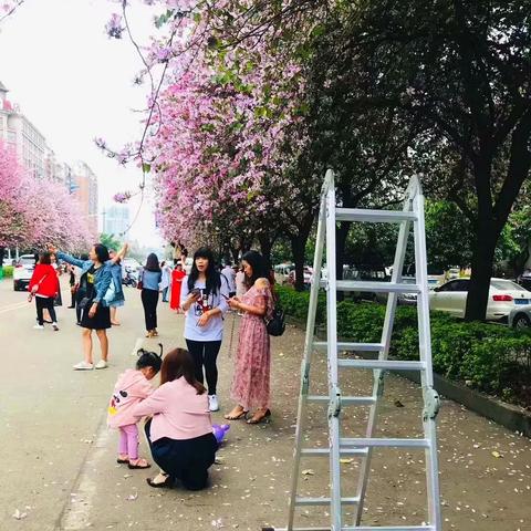 柳州最新房租出租信息解析