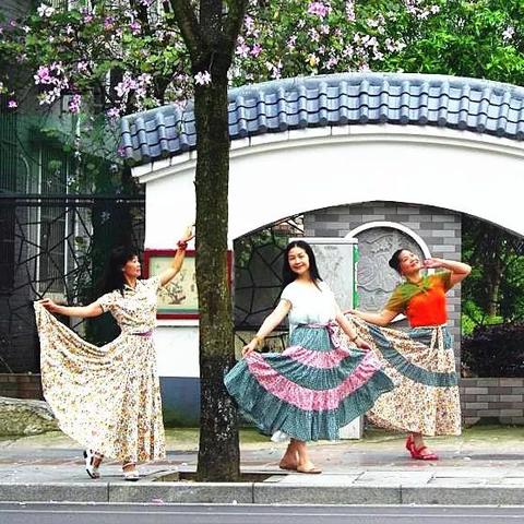 柳州最新房租出租信息解析