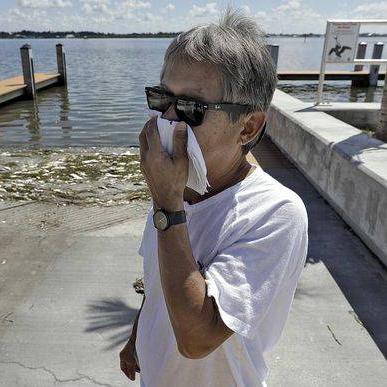 海洋赤潮实时更新报道动态