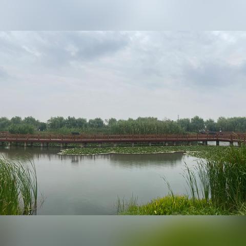 常州新北区招聘动态深度解析