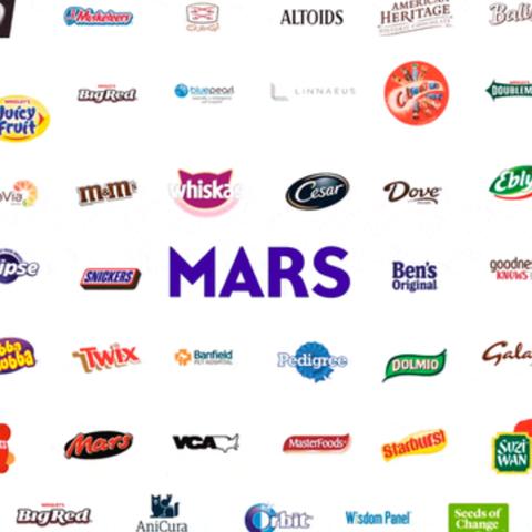 最新完婚生活洞察,2025年数据揭秘婚姻生活状态