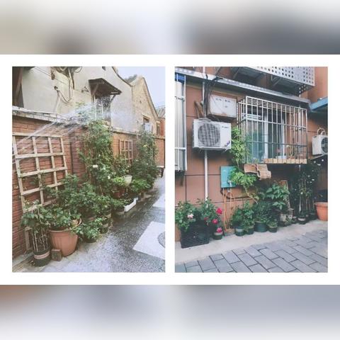 花园小镇最新房价走势与房地产趋势深度解析