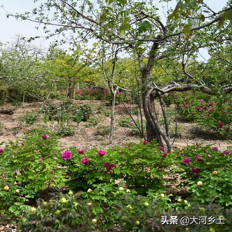 太原太钢最新动态报道