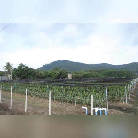 白沙公园最新动态