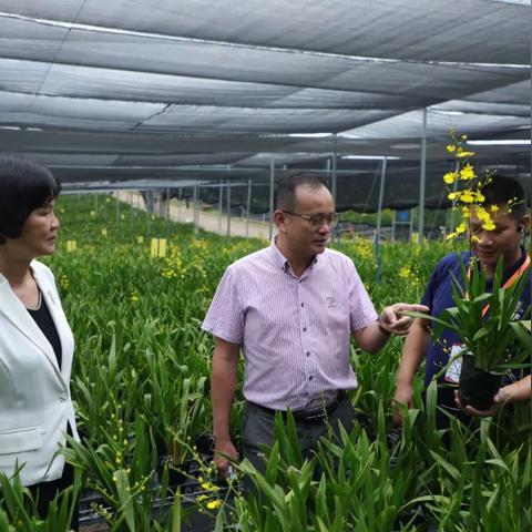 白沙公园最新动态