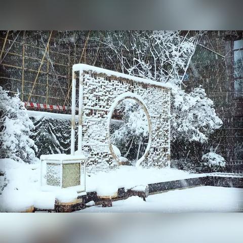 文一学府最新动态概览