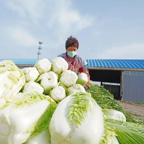 唐山供销班子成员概览及工作动态更新