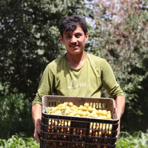 杏蜜视频全集，深度探索与精彩赏析