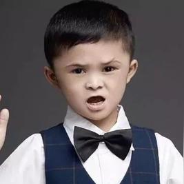 石家庄外包区最新动态解读