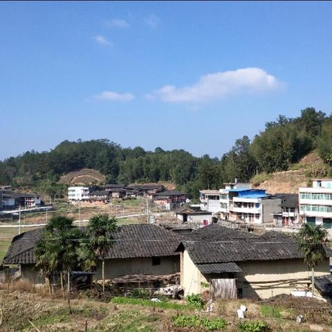 同安司机招聘启事,最新职位空缺信息