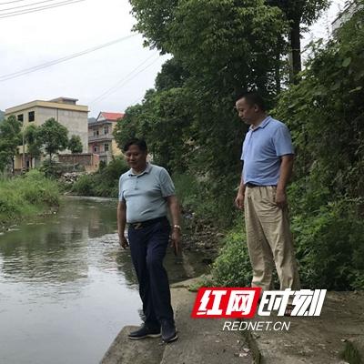 新宁红网新闻热点报道速递