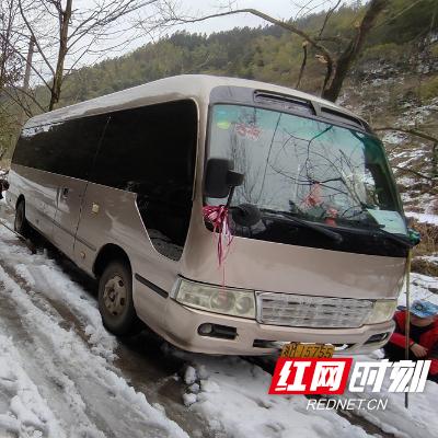 新宁红网新闻热点报道速递