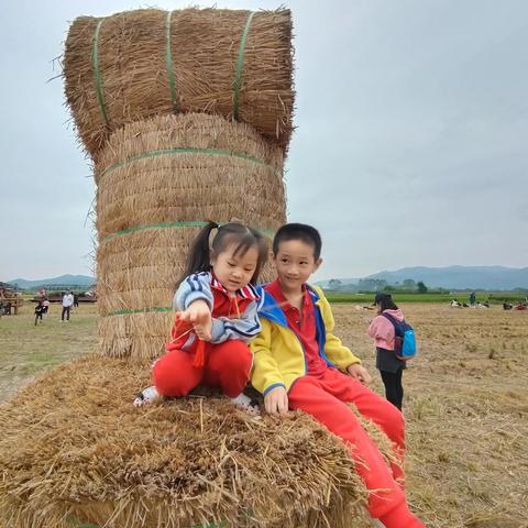 增城朱村招聘更新资讯