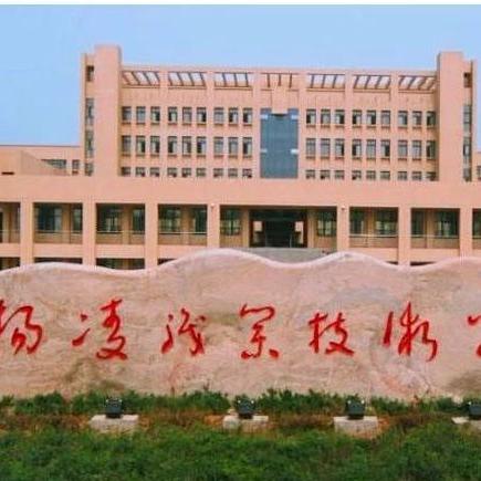 杨凌最新工厂招聘信息与详情解读