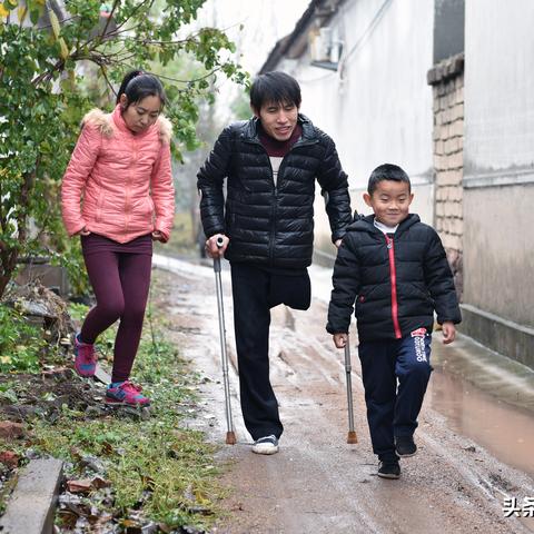 机械哥视频新作深度解析，数据洞察、创新趋势与未来展望