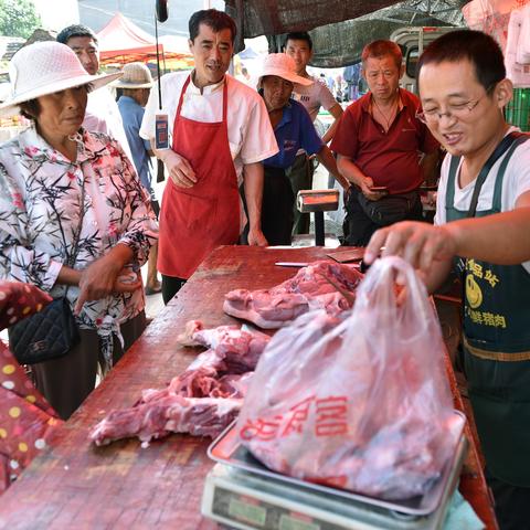 机械哥视频新作深度解析,数据洞察、创新趋势与未来展望