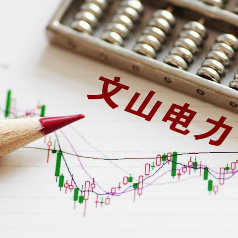 文山电力重组最新进展报告