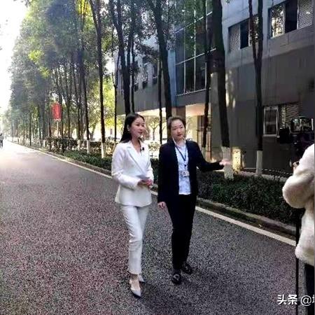 江津在线城区招聘，职业发展与前景展望