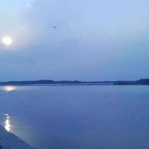 单县水上明珠最新消息更新