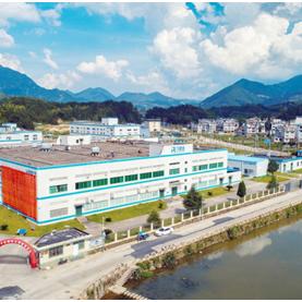 柘荣太子参最新行情分析简报