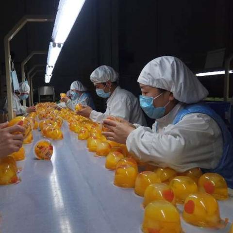 定兴喜之郎最新招聘启事速递