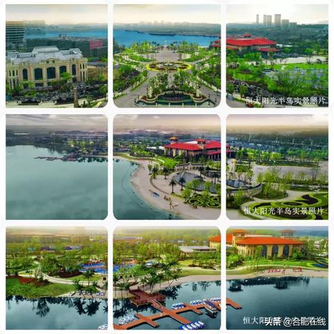 新桥阳光半岛最新进展信息速递