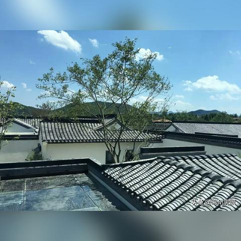 绵阳龙溪谷房价最新动态分析