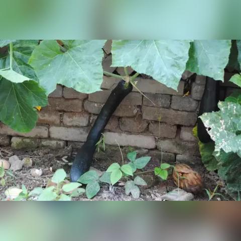 乡愁最新章节全文免费阅读