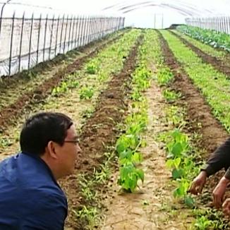 昌邑围子招工信息最新解析