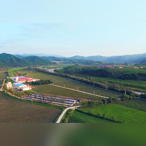 通化最新招聘信息与就业市场趋势分析