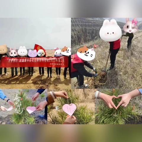 友情的力量，2025年心灵触动新感悟