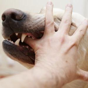 黑电台处罚条例最新更新