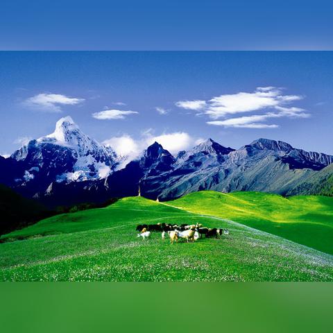 石棉到康定路况实时更新报告