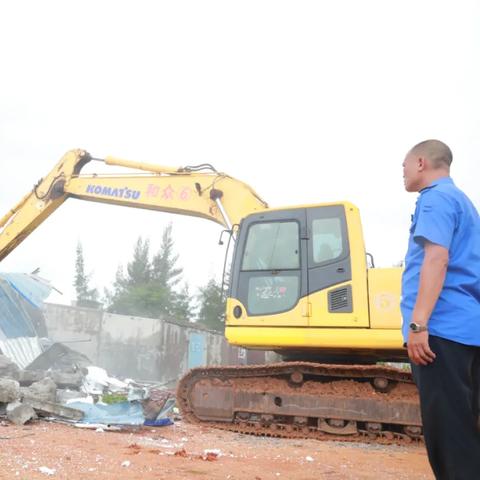 强势镇长，铁腕治理与民生改善的最新篇章