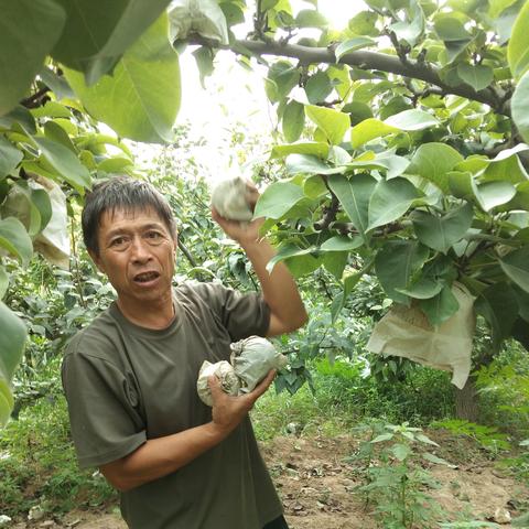 渭南经开区最新动态深度剖析