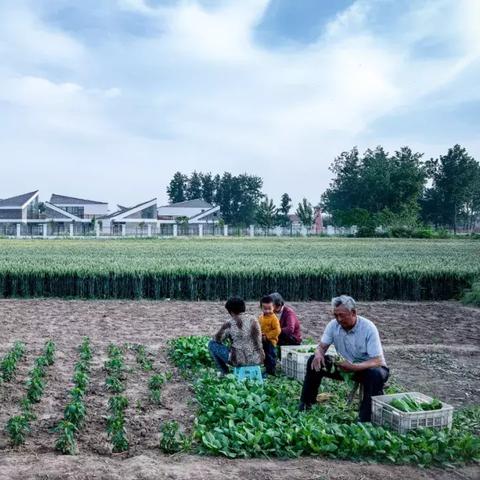 阜宁最新发展动态,聚焦地方新面貌