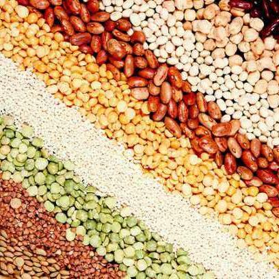 吉林省谷子价格最新走势分析