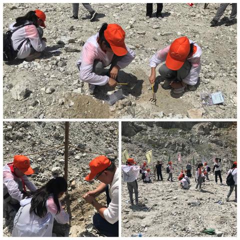 新疆矿山招聘启事,最新职位信息汇总