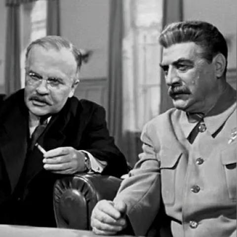 2025铁粉最新报价表与行情深度分析