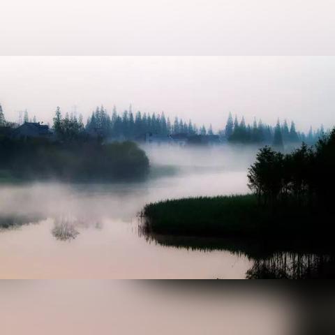 崇明集中居住最新动态